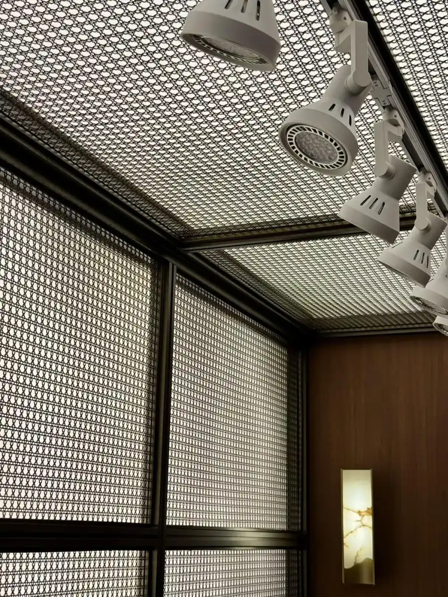 Protected decorative metal mesh wall and ceiling surface with integrated lighting track